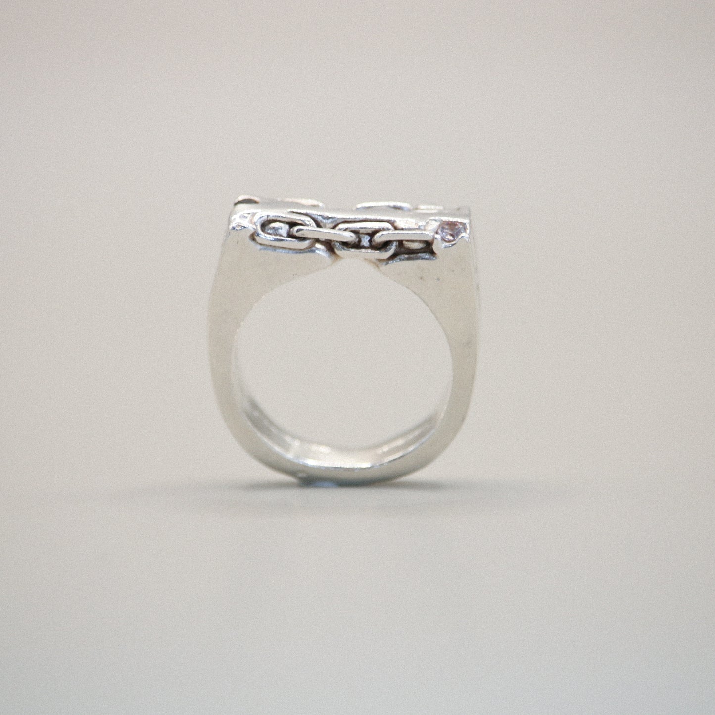 Dual chain Ring