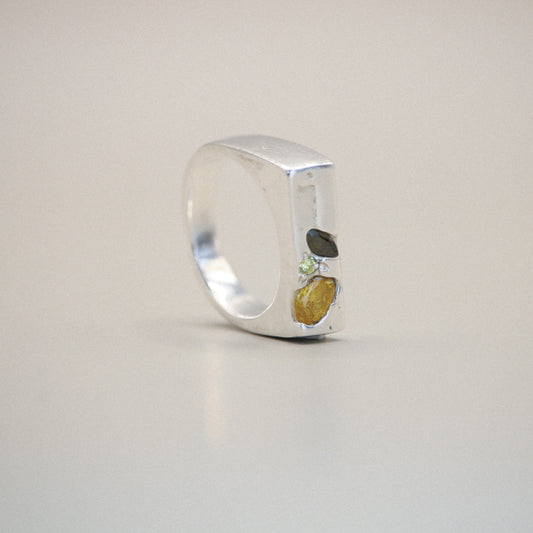 Forrest Light - Frame Signet Ring