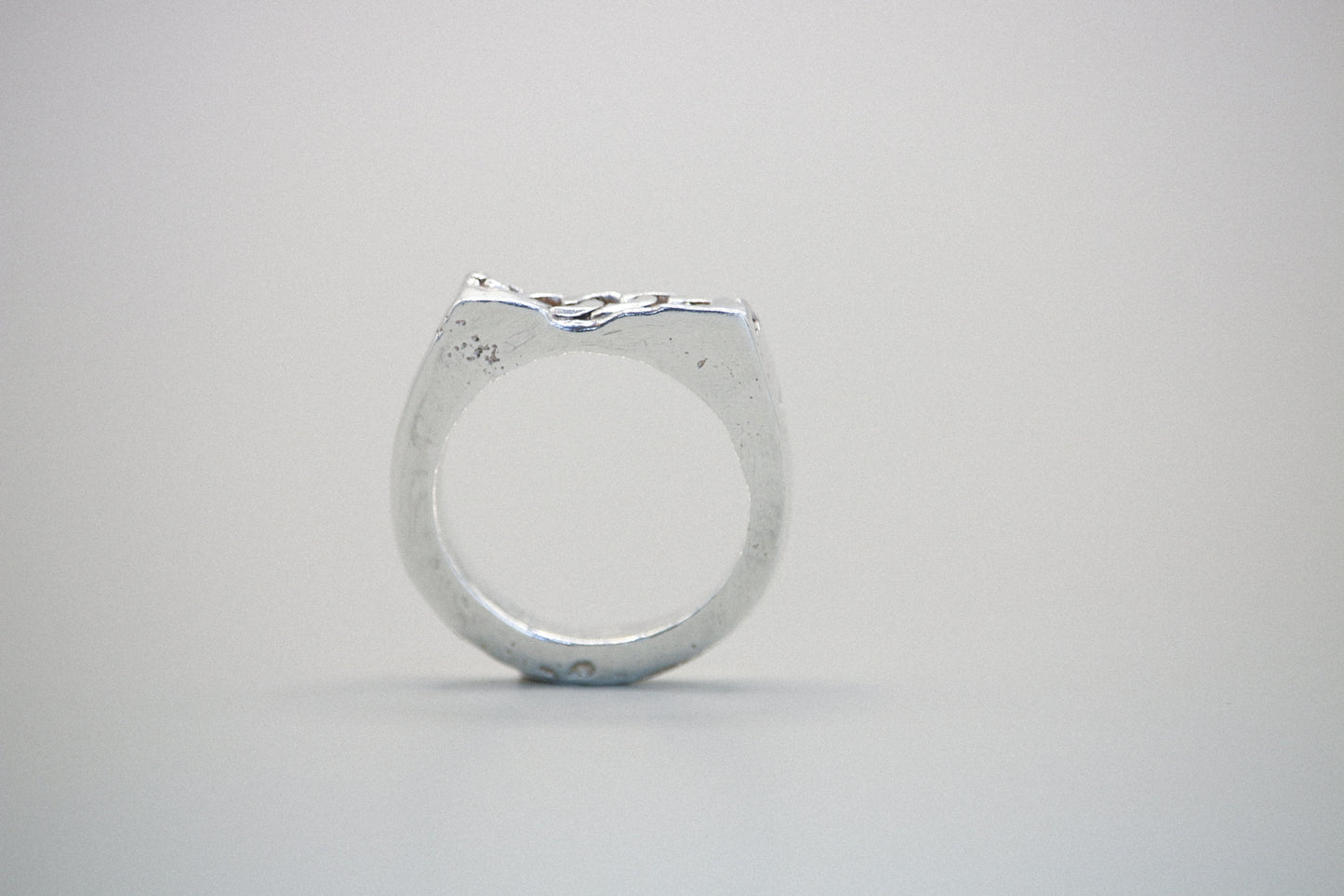 Curb Chain Ring
